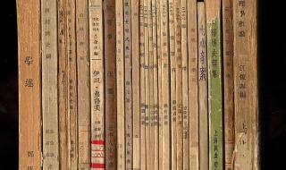 政治学概论 政治学概论